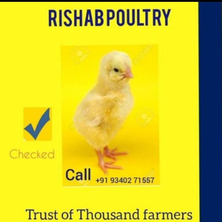 Rishab Poultry and Hatchery
